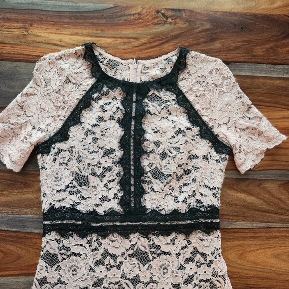 Gorgeous Lace Dressy Dress Pale Pink Black Jax Black Label Size 8 Beautiful Sexy - Picture 5 of 11
